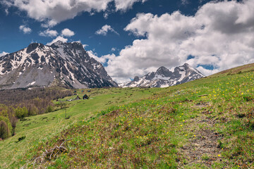 Hiking through the picturesque landscape of Montenegro's Komovi Mountains, where pastoral meadows meet rugged alpine peaks under a clear blue sky.