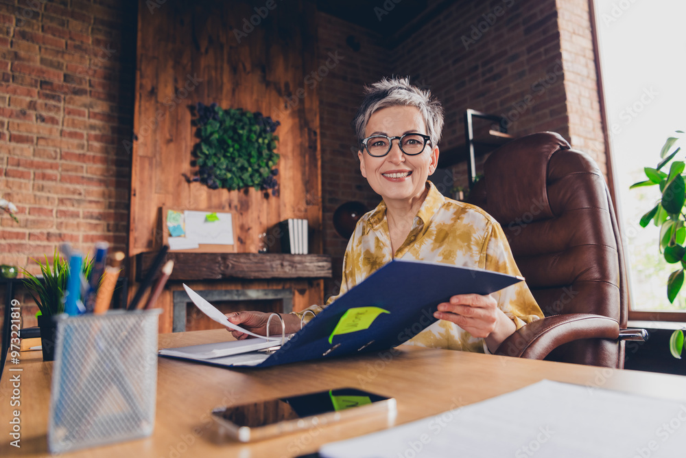 Poster Photo of pretty senior female folder boss paperwork wear formalwear coworking successful nice light office