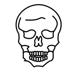 Scalp Vector Line Icon Design