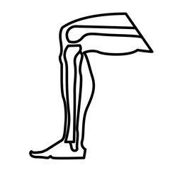 Limb Joints Vector Line Icon Design