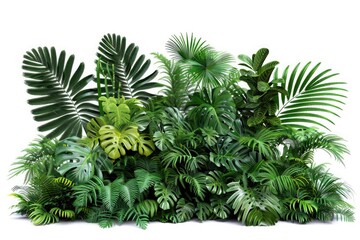 A collection of colorful tropical plants on a white background, perfect for use in travel or nature-themed designs