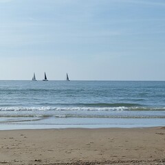 boat on the sea