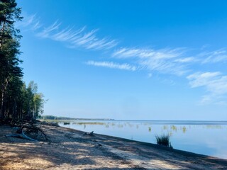beautiful blue seashore, trees at the seashore, blue sky and blue calm sea surface