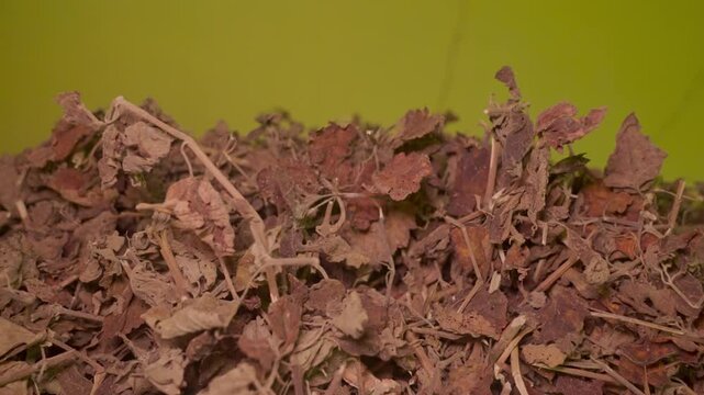 Storage space for dried patchouli leaves