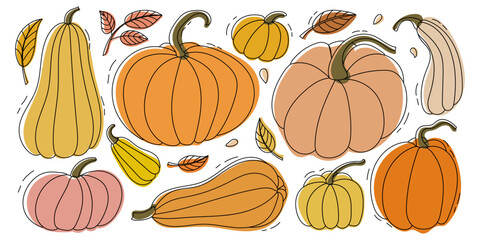 Colorful Assortment of Decorative Pumpkins and Gourds Perfect for Fall Decor and Celebration