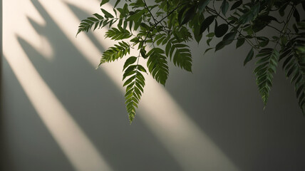 Naklejka premium Minimalistic light background with green plant branch and blurred foliage shadow on white wall