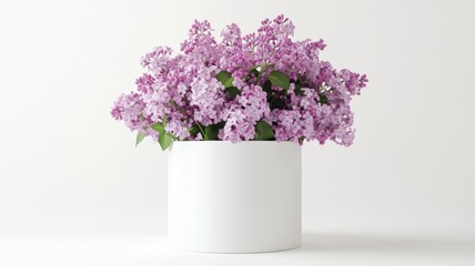 Naklejka premium Lilacs beautifully arranged in a white hat box, ideal for gifting or brightening any room.