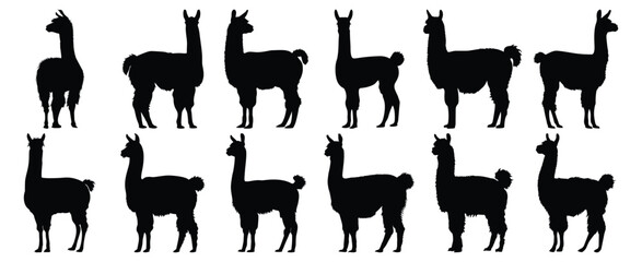 Llama silhouettes set, animal pack of vector silhouette design, isolated background © FutureFFX