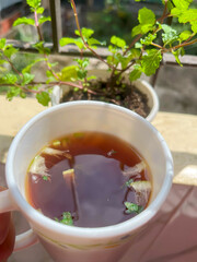 Green tea in morning in white cup on balcony at home in Dhaka, Bangldesh