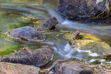 Fototapeta premium cascading water of trap falls brook