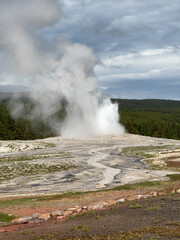 The eruption of Old Faithful in Yellowstone National Park spews steam hundreds of feet into the air