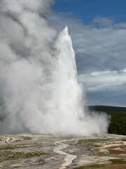 The eruption of Old Faithful in Yellowstone National Park spews steam hundreds of feet into the air