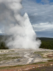 The eruption of Old Faithful in Yellowstone National Park spews steam hundreds of feet into the air