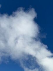The eruption of Old Faithful in Yellowstone National Park spews steam hundreds of feet into the air
