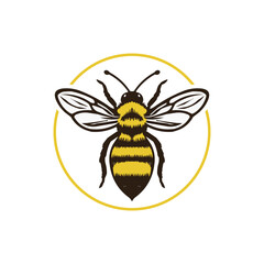 Honey bee editable vector logo. Hand drawn engraving style illustrations.