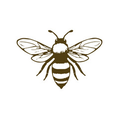 Honey bee editable vector logo. Hand drawn engraving style illustrations.