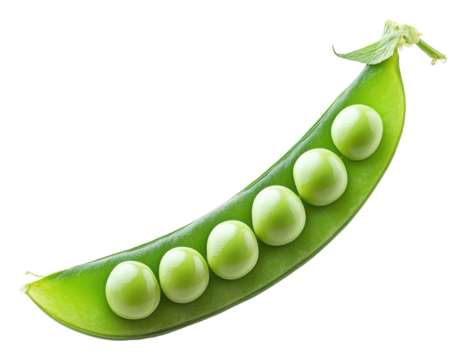 PNG Fresh green pea pod on white background