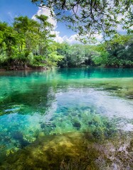 Fototapeta premium Crystal clear lake nature background with depth of field for a refreshing and peaceful retreat