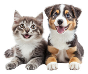 PNG Adorable kitten and puppy sitting together happily