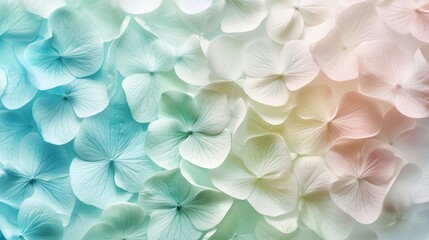 Delicate pastel hydrangea petals in shades of blue and white subtly blend together in a serene floral pattern