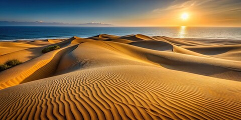Naklejka premium Coastal dune landscape with undulating sands and golden light
