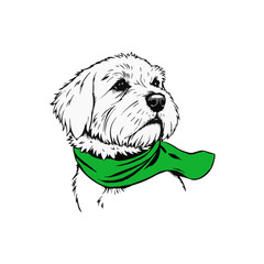 Super Dog mascot Logo, Cute dog paint illustration, Shih Tzu 