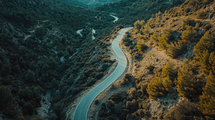 Winding mountain road through lush greenery, showcasing natures beauty