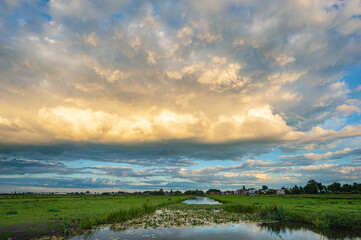 A rain shower with mammatus clouds above the Dutch landscape is beautifully illuminated by the low sun