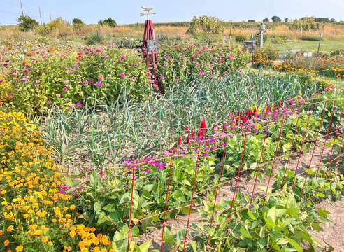 A colorful plot in a community garden with marigolds, green beans, celosia, zinnias, leeks, a weathervane, fencing, and other flowers and vegetables. 