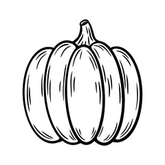 Autumn pumpkin illustration in line art style. Autumn vegetable graphic monochrome drawing. Hand drawn outline sketch, engraved illustration. For coloring book, invitation, decoration, Halloween decor