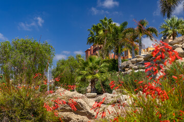 Fototapeta premium Villas on the Atlantic coast in the Canary Islands, millionaire homes in Costa Adeje, apartment buildings on the coast of Playa del Duque Spain