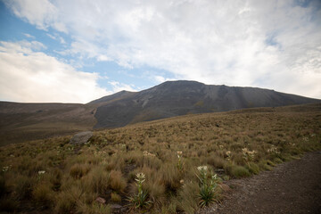 Nevado de Toluca, a national park located on a stratovolcano in Mexico
