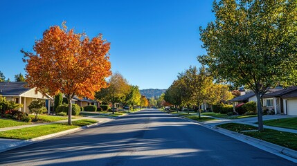 A typical residential street lined with houses and trees under a clear blue sky, portraying everyday suburban life in a peaceful setting.