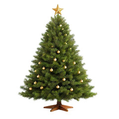  Christmas tree isolated on Transparent background