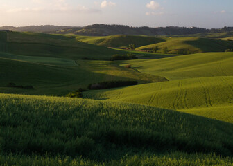 Fototapeta premium Beautiful Tuscany hills, Italy