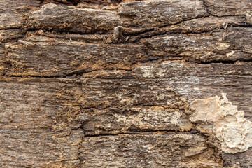 Wood plank with concrete residue and soild dirt: Background Graphic Texture