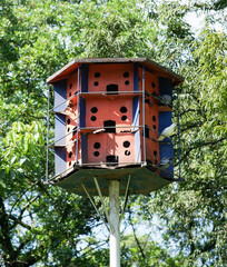 Wooden house for pigeons on the side of town