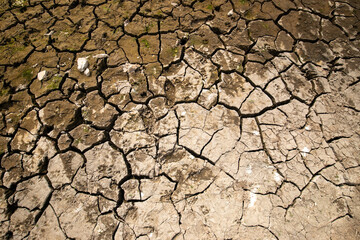 A dry lake is a waterless basin with a cracked, saline and dusty bed, caused by climate change