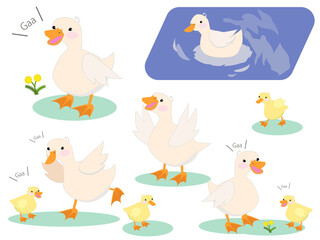 アヒルとヒナの親子　セット素材