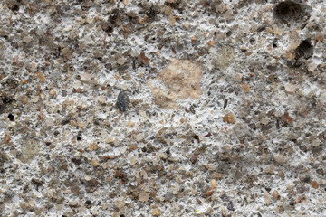 Sandstone Slab Patio Pavers MACRO Shows Sand Grains: Background Graphic Texture
