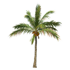 Tree with transparent background