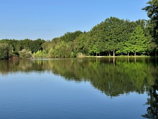 Fototapeta premium view of the Etang des Aisses in the French Sologne on a sunny summer day with green vegetation 