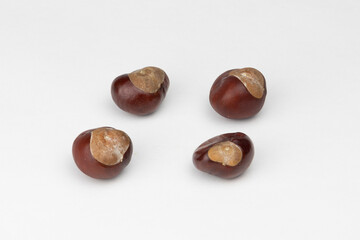 Four Brown Chestnuts Isolated on White Background (Easily Convertible to Transparent PNG)