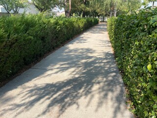 Walking path in the park, while on a brisk walk on a bright sunny cool morning