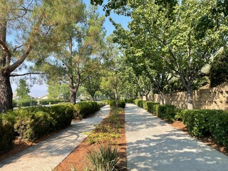 Walking path in the park, while on a brisk walk on a bright sunny cool morning