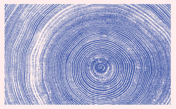 Decorative wood block prints of growth rings. Monotone pink and blue botanical tree rings and impression print.