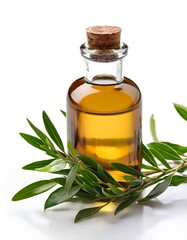 Fresh tea tree branch with essential oil bottle, isolated on a white background