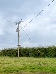 Obraz premium Electricity company transformer on wooden telegraph pole beside hedge in grass field