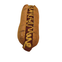 hot dog with mustard