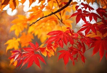 vibrant seasonal foliage featuring bold organic designs rich colors textures, autumn, colorful, leaves, nature, patterns, botanical, art, landscape, beauty